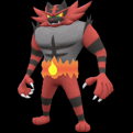Pokémon #727 9G